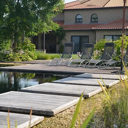 Serenity B&B